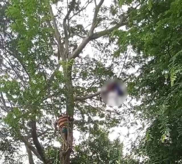 মুন্সিগঞ্জে গাছের ডাল কাটতে গিয়ে বিদ্যুৎস্পৃষ্টে শ্রমিকের মৃত্যু