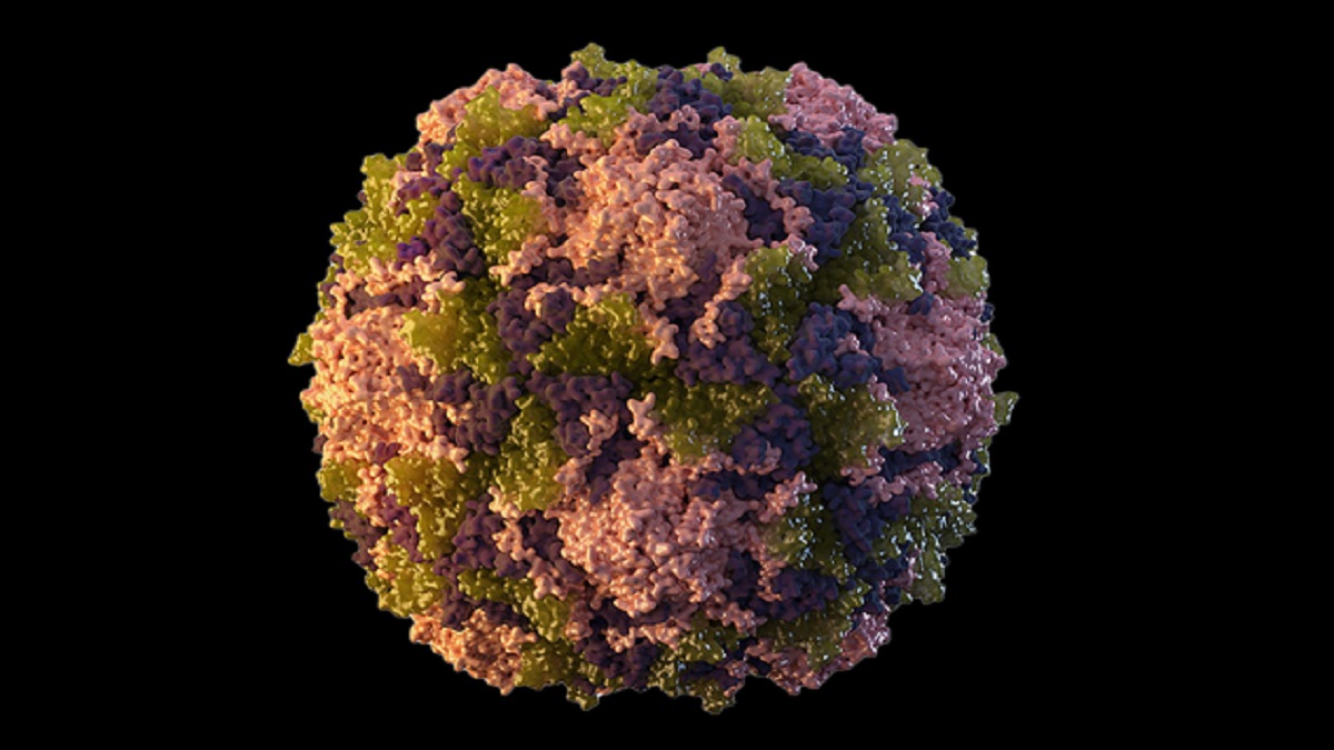 পোলিও ঠেকাতে নিউইয়র্কে জরুরি অবস্থা জারি