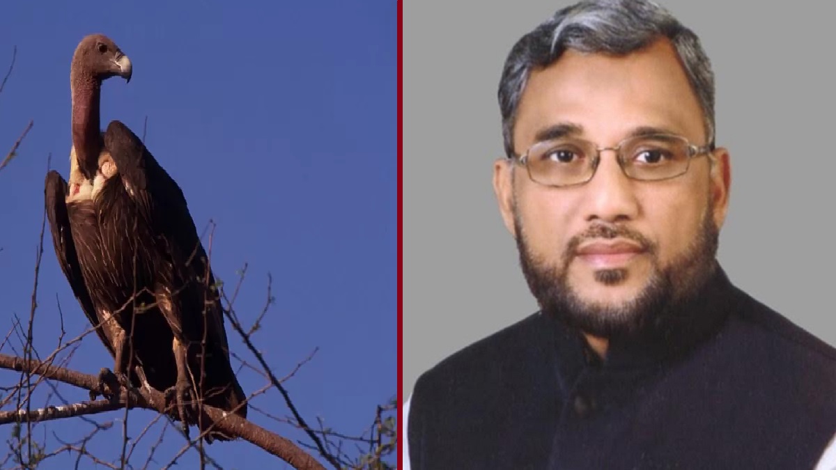 শকুন রক্ষায় এশিয়ার মধ্যে সবচেয়ে এগিয়ে বাংলাদেশ: পরিবেশমন্ত্রী