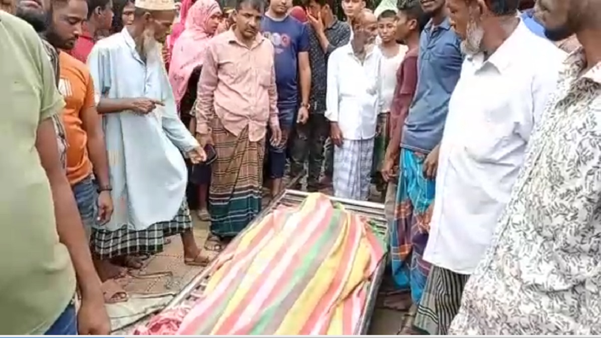 চিকিৎসা শেষে অন্তঃসত্ত্বা স্ত্রীকে নিয়ে বাড়ি ফিরছিলেন স্বামী, প্রাণ গেলো সড়কেই