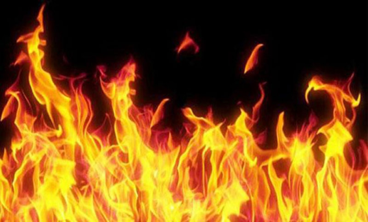 নোয়াখালীতে দুর্বৃত্তদের আগুনে পুড়লো ৩২ ভেড়া