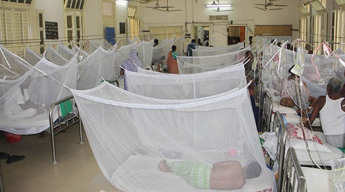 ডেঙ্গু পরিস্থিতির অবনতি; একদিনে রেকর্ড সংখ্যক রোগী হাসপাতালে