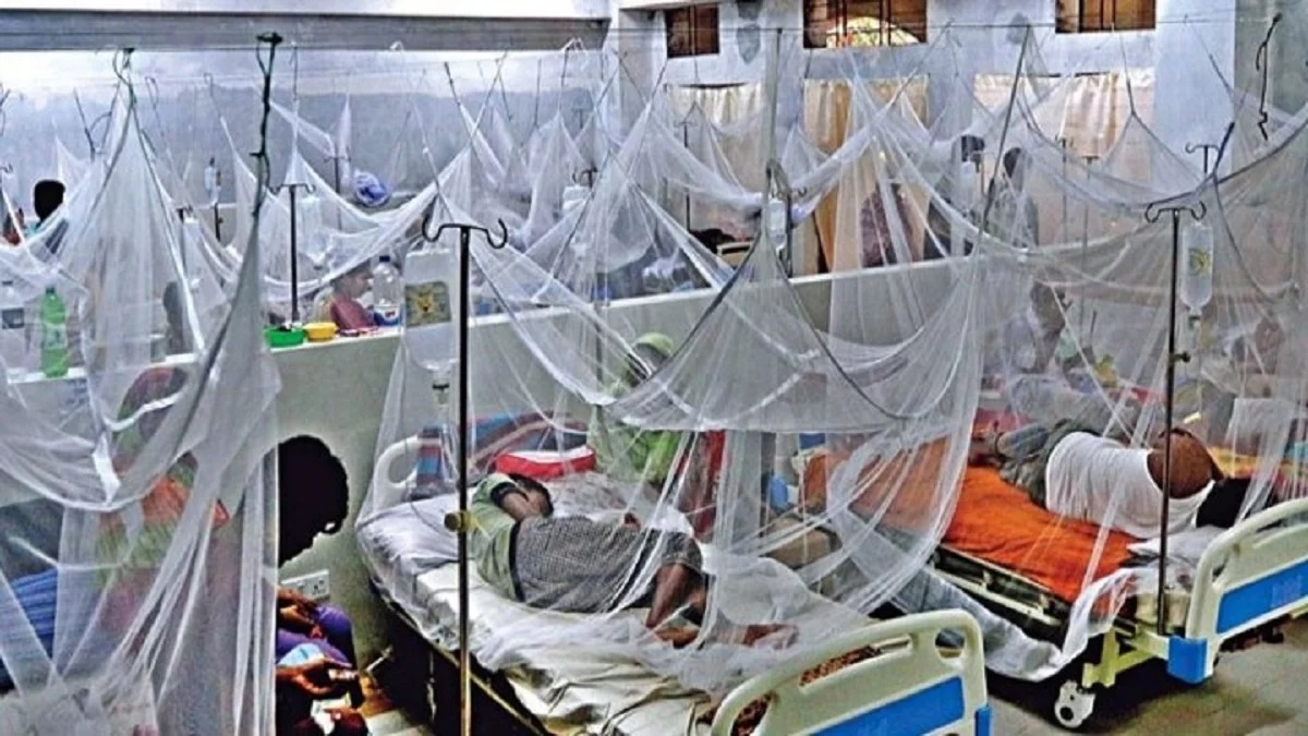ডেঙ্গুতে আরও ৫ প্রাণহানি, হাসপাতালে ভর্তি ৮৭৩