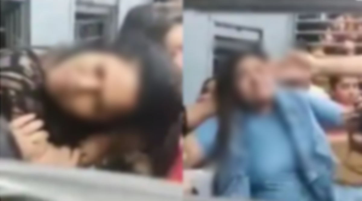 সিট দখল নিয়ে চড়-থাপ্পড়, চুল টানাটানি! মুম্বাই লোকাল ট্রেনে তুলকালাম (ভিডিও)