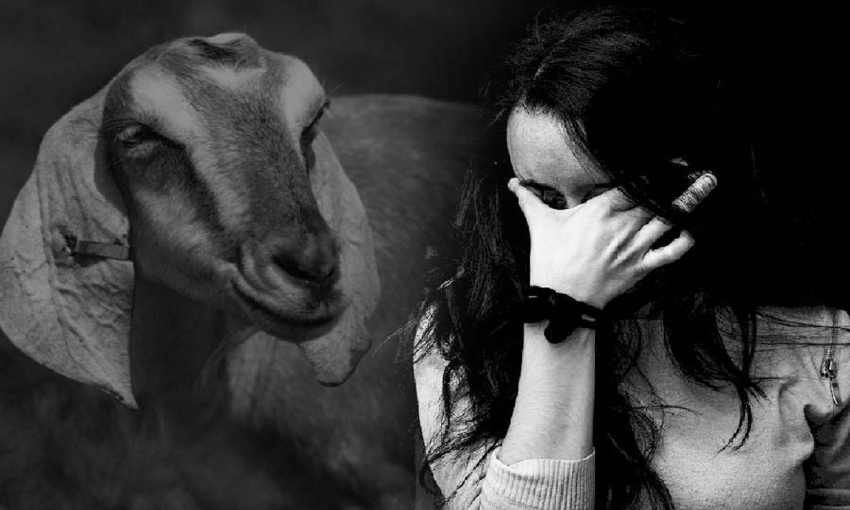 ছাগলের মৃত্যু সহ্য করতে না পেরে যুবতীর আত্মহত্যা!