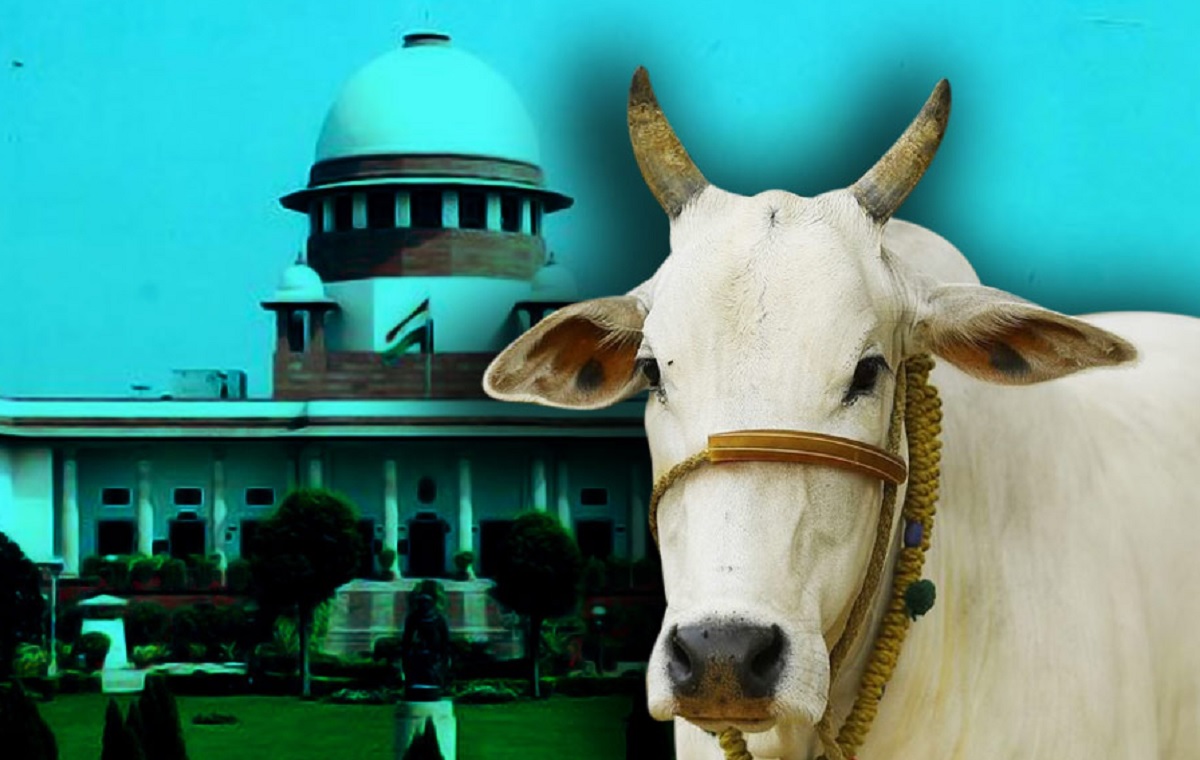 গরুকে ভারতের জাতীয় পশু করার আবেদন খারিজ করে সুপ্রিম কোর্ট বললেন, এসব কি আদালতের কাজ?