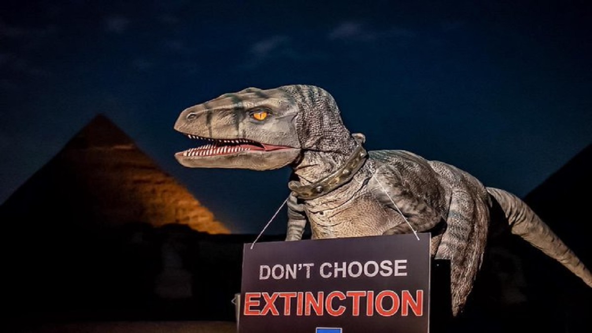 মিশরে জলবায়ু পরিবর্তন ঠেকাতে ভিন্নধর্মী প্রতিবাদ