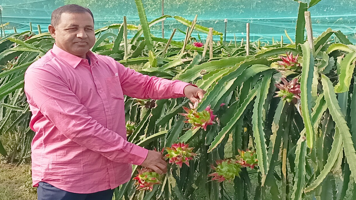 ফলচাষে কোটিপতি ঝিনাইদহের আক্তারুজ্জামান