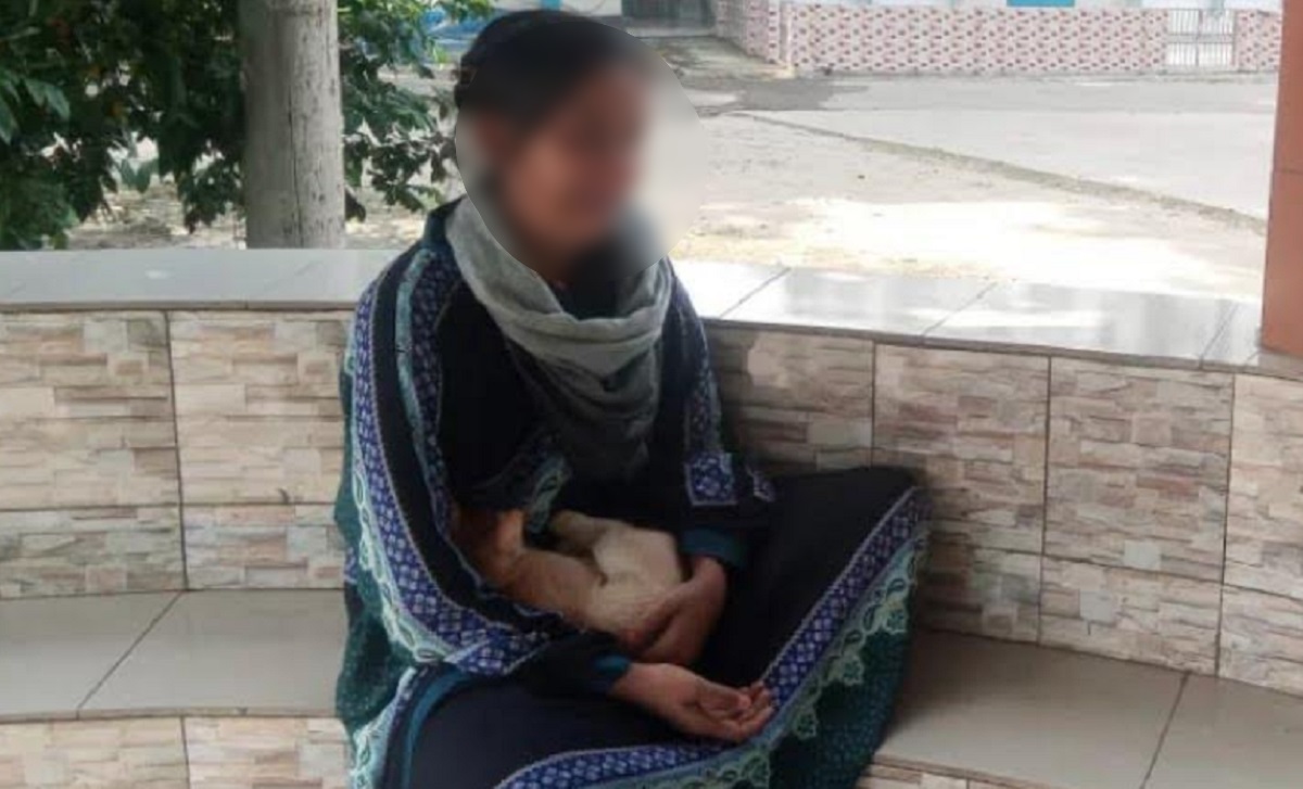 পোষ্য বিড়ালকে হত্যায় অভিযোগ দায়ের, সম্পন্ন হলো ময়নাতদন্ত!