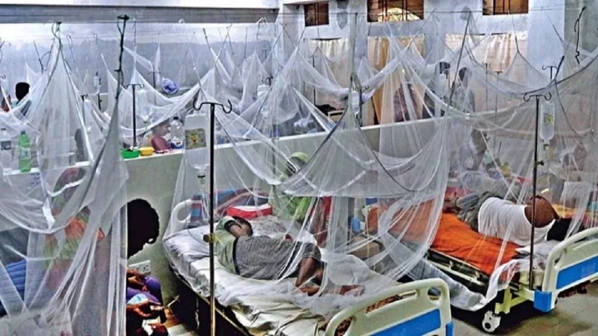 ডেঙ্গুতে আরও ৭ প্রাণহানি, হাসপাতালে ভর্তি ৯৮৩