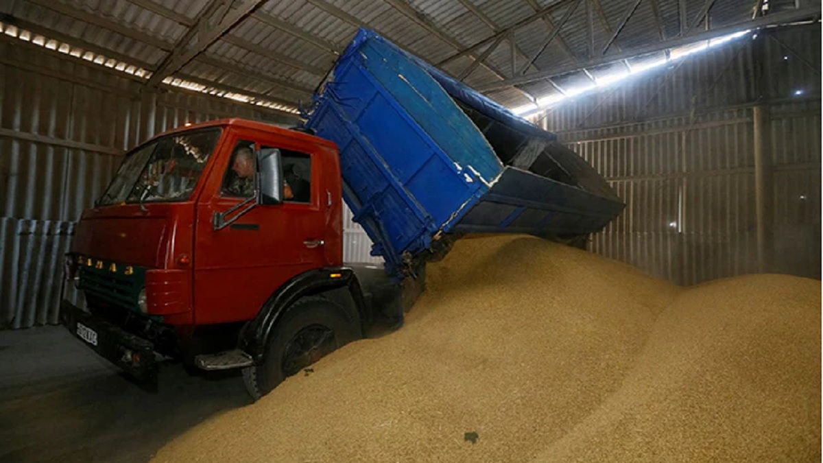 শস্য রফতানি নিয়ে রাশিয়ার ব্ল্যাকমেইল ব্যর্থ হয়েছে: ইউক্রেন