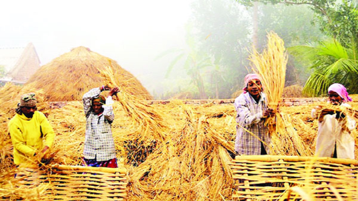 রাজধানীতে চলছে নবান্ন উৎসব