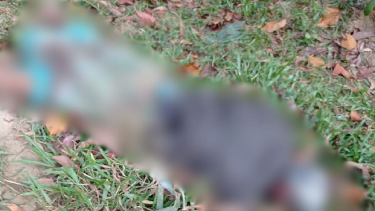 কক্সবাজারে বন্যহাতির আক্রমণে এক যুবক নিহত