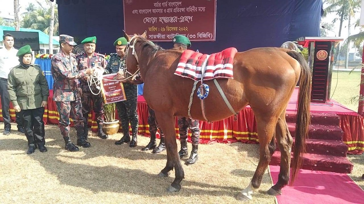 হস্তান্তর করা হলো সাতক্ষীরা সীমান্তে উদ্ধারকৃত অ্যারাবিয়ান ঘোড়া