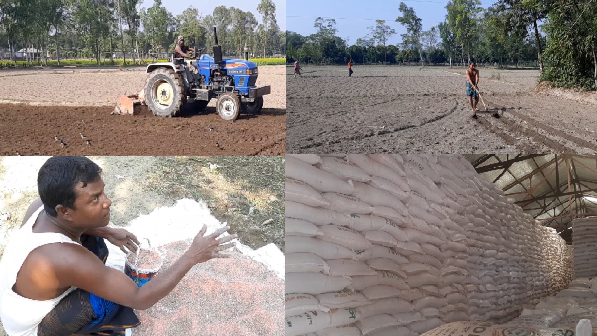 ঠাকুরগাঁওয়ে সার সংকটের অভিযোগ, বিপাকে কৃষক