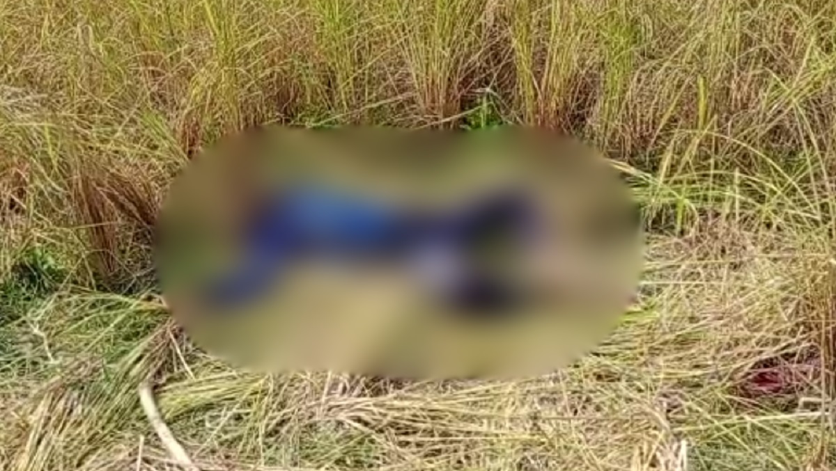 বরগুনায় ধানক্ষেত থেকে এস.এস.সি পরীক্ষার্থীর মরদেহ উদ্ধার
