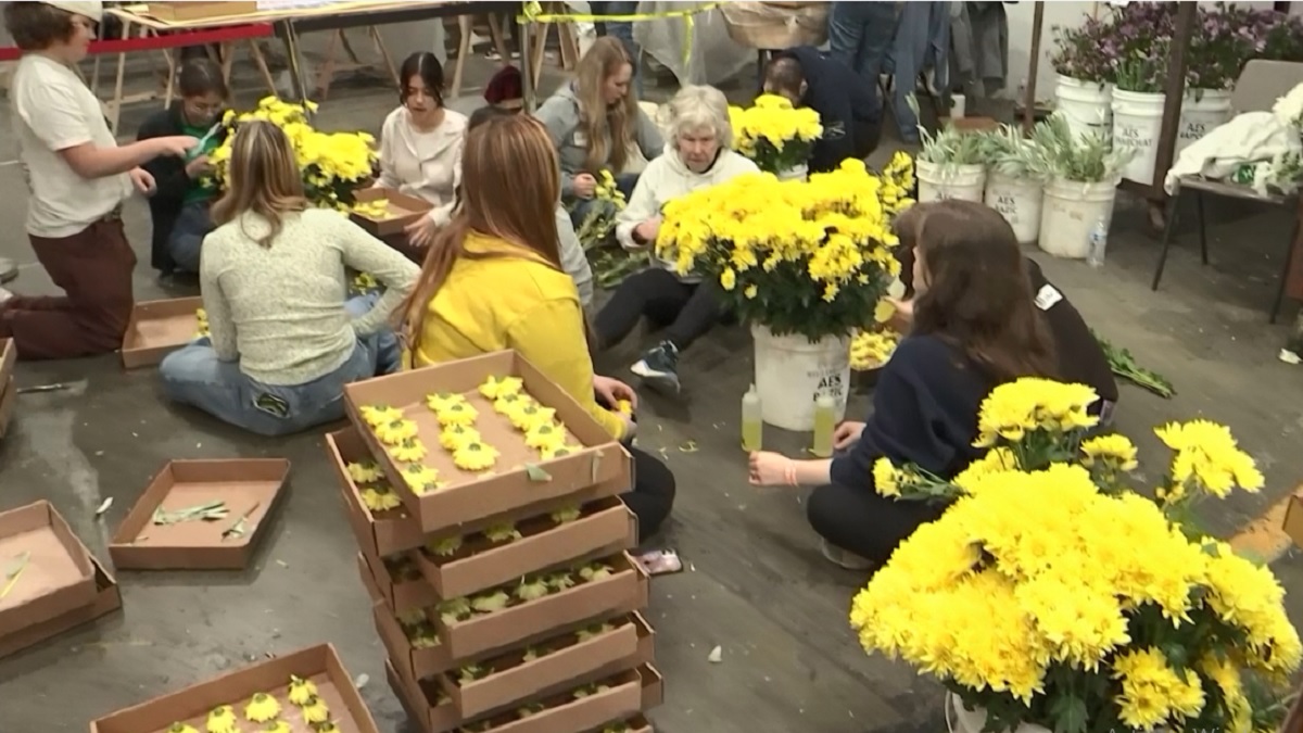 নববর্ষে যুক্তরাষ্ট্রের অন্যতম আকর্ষণ রোজ প্যারেড