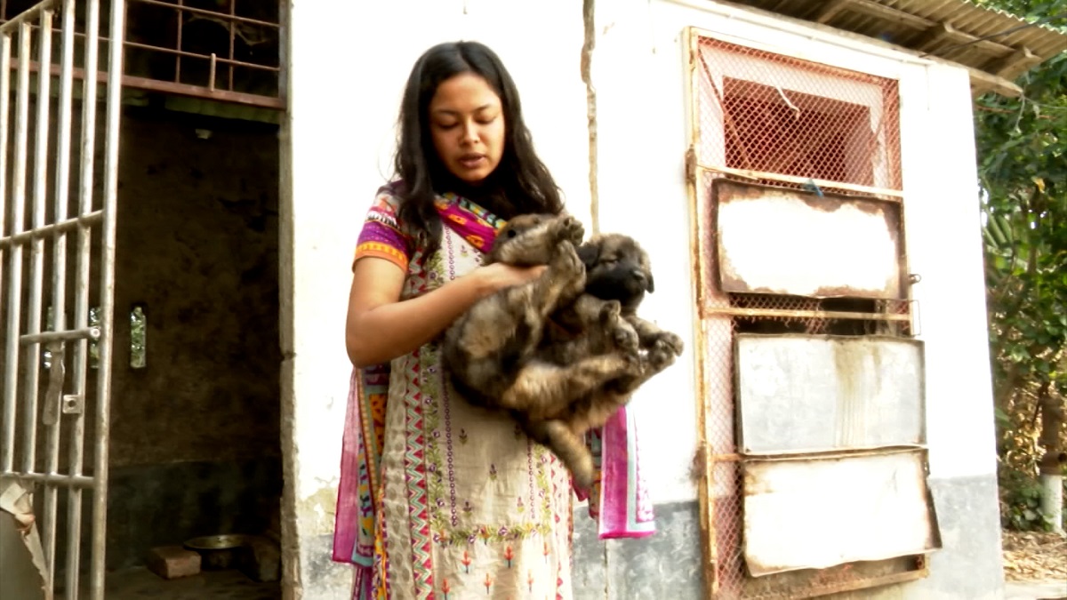 ভেঙে যাচ্ছে গালিবের খামার, তার স্মৃতি আঁকড়েই থাকতে চান শারমিন (ভিডিও)