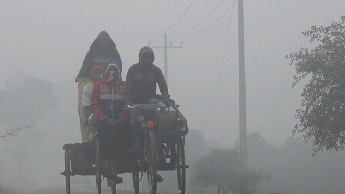 আগামী ৩-৪ দিন দেশে এমন শীত ও কুয়াশা থাকবে: আবহাওয়া অধিদফতর