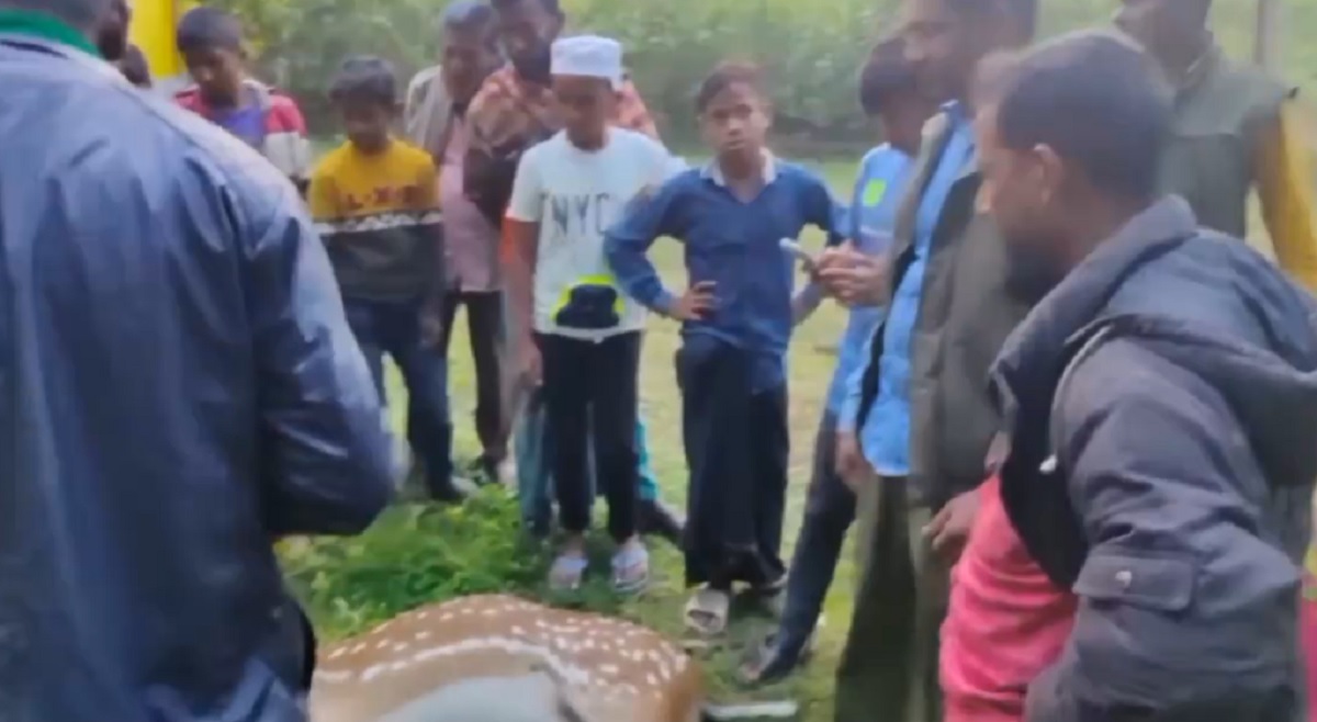 ভোলায় কুকুরের কামড়ে হরিণের মৃত্যু