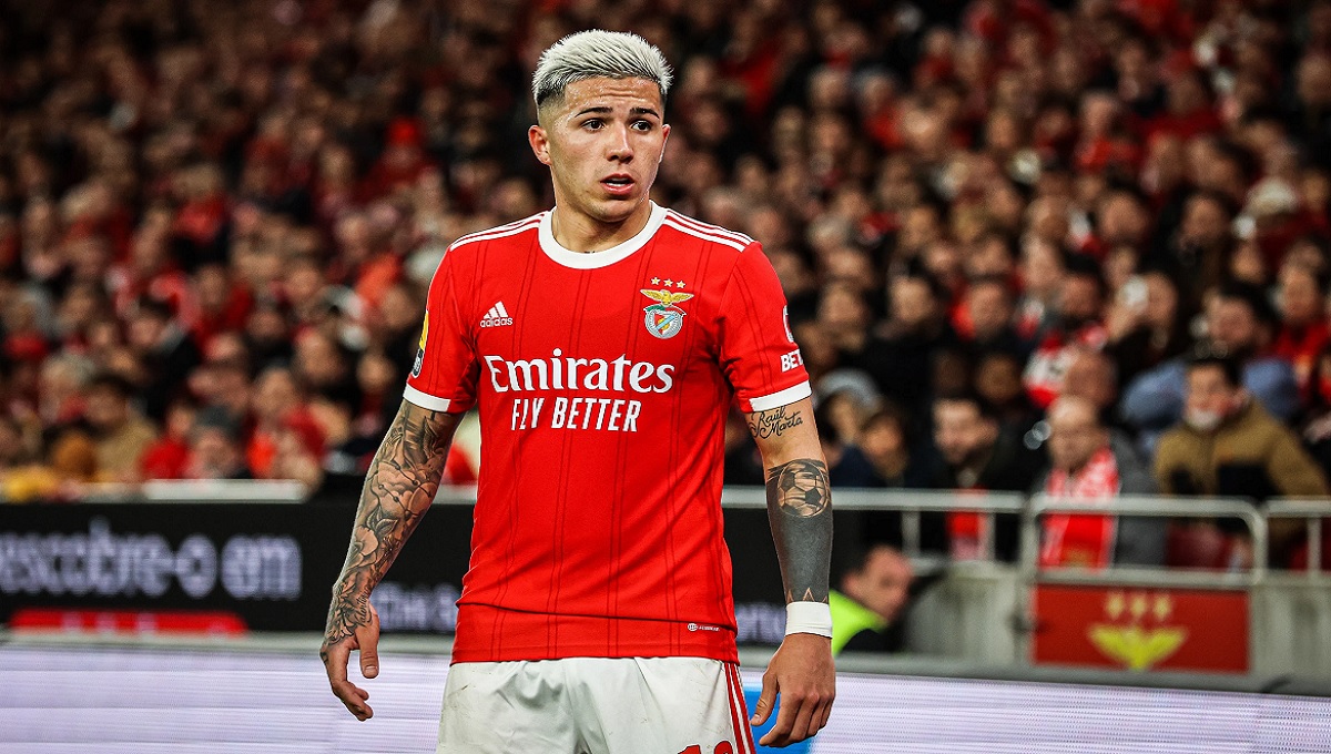 এনজোর দাম আরও বাড়াচ্ছে বেনফিকা; চেলসির পরিকল্পনায় ধাক্কা