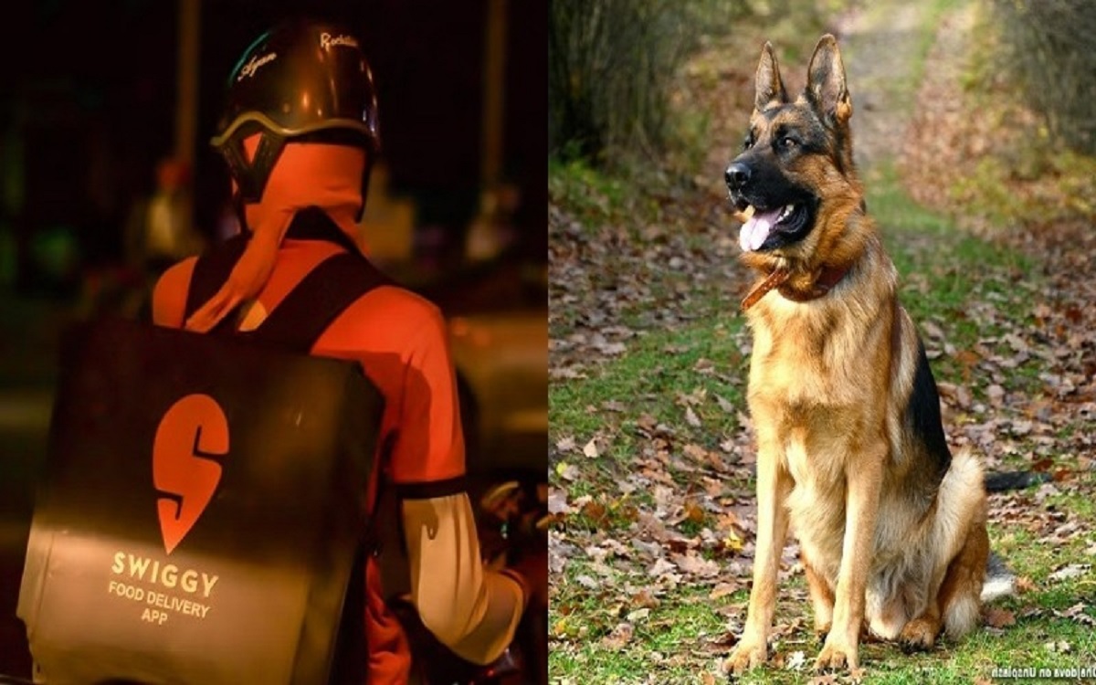 খাবার ডেলিভারি দিতে গিয়ে কুকুরের ‘তাড়া খেয়ে’ তিন তলা থেকে লাফ, যুবকের মৃত্যু