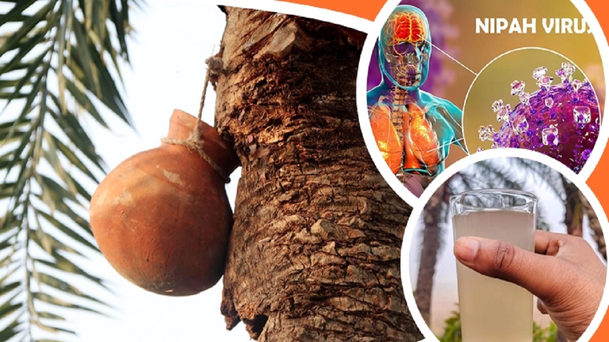 দেশে নিপাহ ভাইরাসে আক্রান্তে মৃত্যুর হার ৭০ শতাংশ: স্বাস্থ্যমন্ত্রী