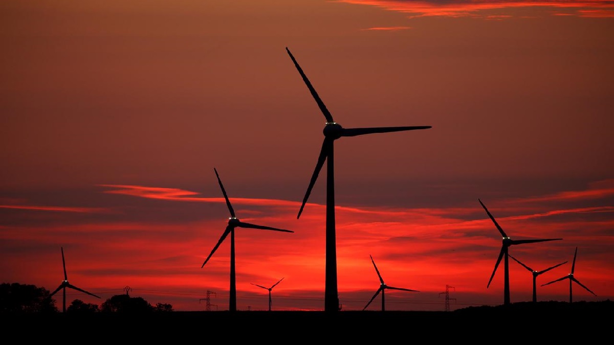 পাকিস্তানের রিজার্ভ তলানিতে, ঋণের জালে জর্জরিত বিদ্যুৎ খাত