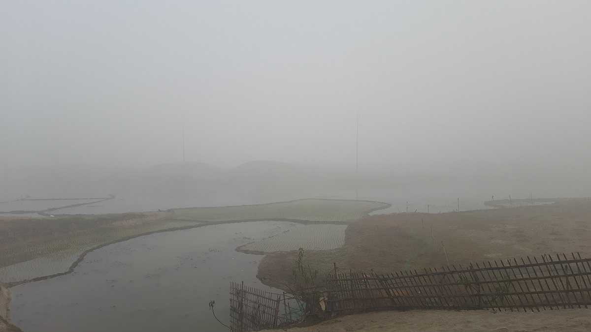 ৯ এর ঘরে তেতুলিয়ার তাপমাত্রা, দেশের সর্বনিম্ন