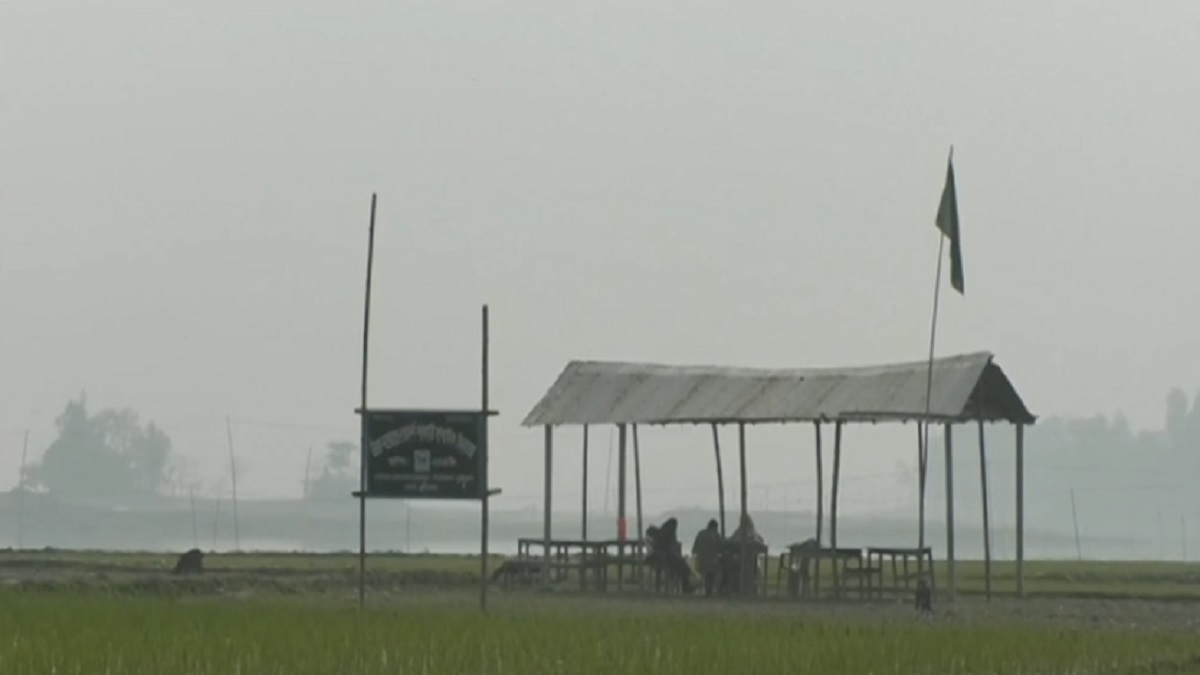 অবকাঠামো নেই সরকারি স্কুলে, ধানক্ষেতে টিনের চালায় উড়ছে শুধুই পতাকা