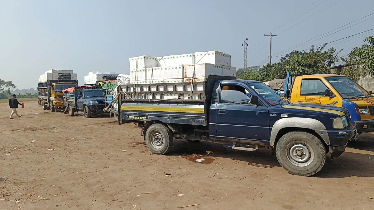 আখাউড়া স্থলবন্দর দিয়ে ভারতে মাছ রফতানি বন্ধ