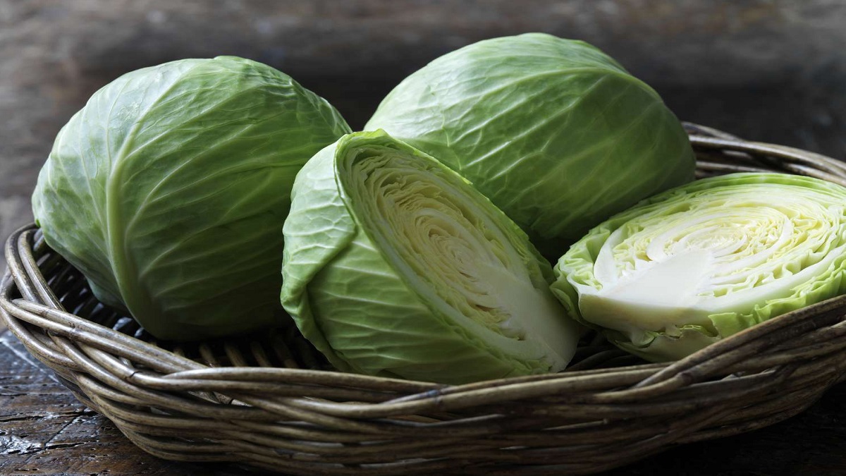 আজ বাঁধাকপি দিবস