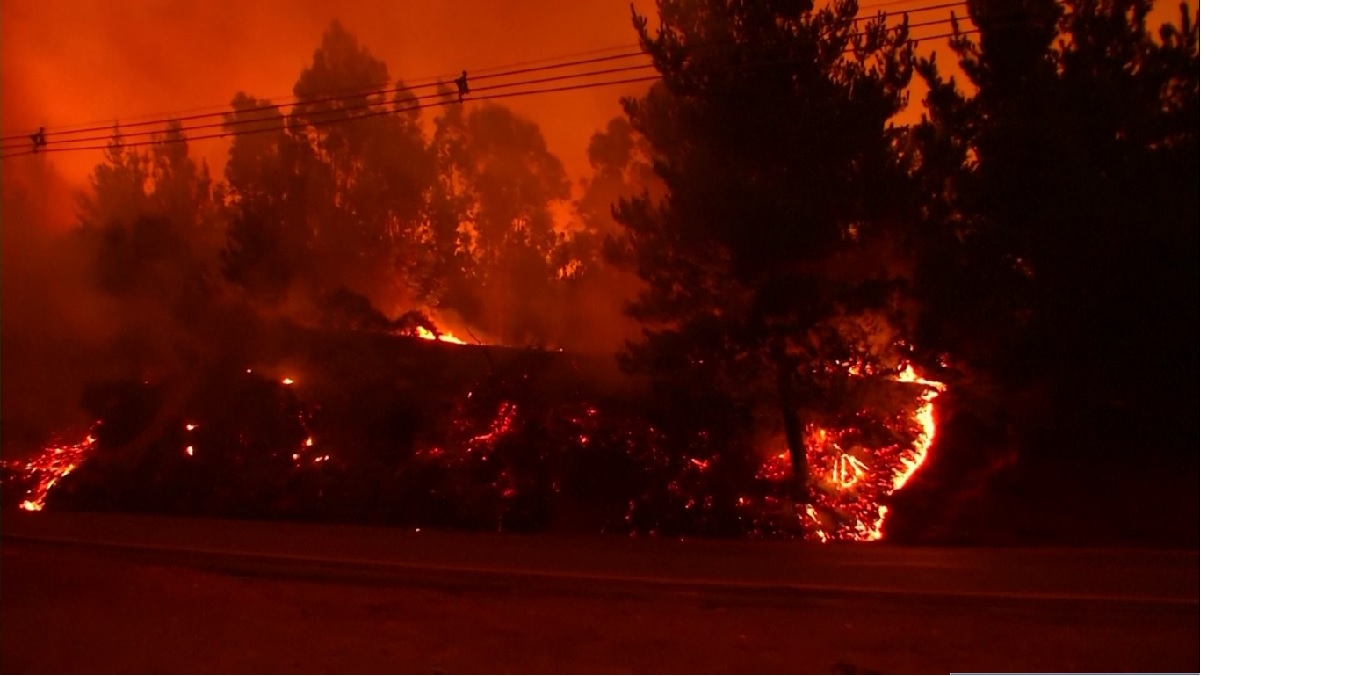 চিলিতে লাগামহীন দাবানলে প্রাণহানি বেড়ে ২৪