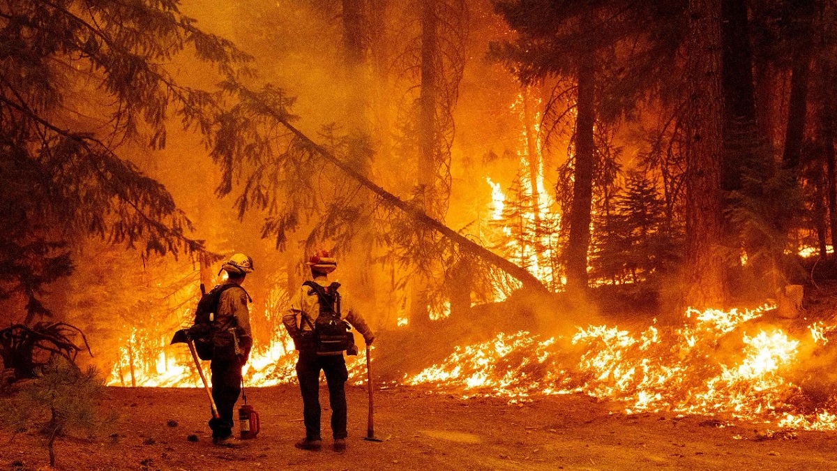 আরও বিধ্বংসী চিলির দাবানল, প্রাণহানি বেড়ে ২৬