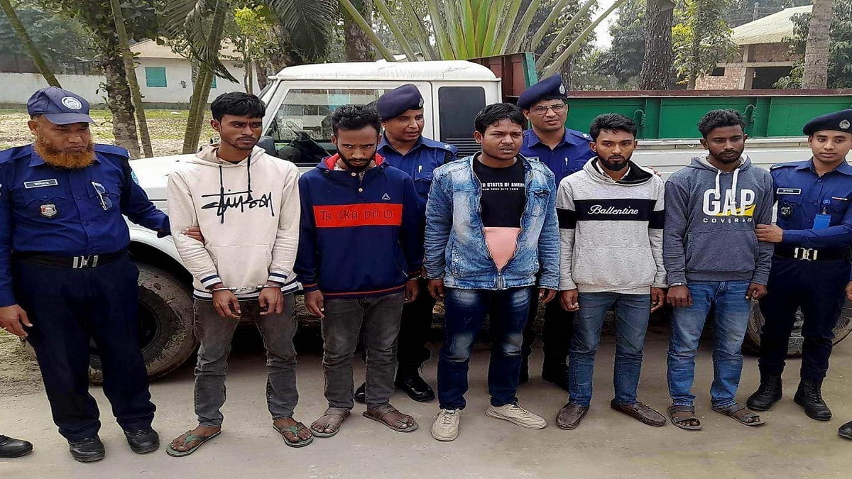 গাইবান্ধায় পিকআপ ভর্তি গরুসহ ৫ চোর গ্রেফতার