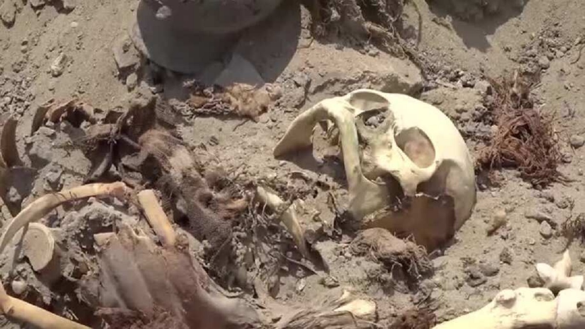 পেরুতে মিললো প্রাক-ইনকা যুগের ৩০টি সমাধির সন্ধান