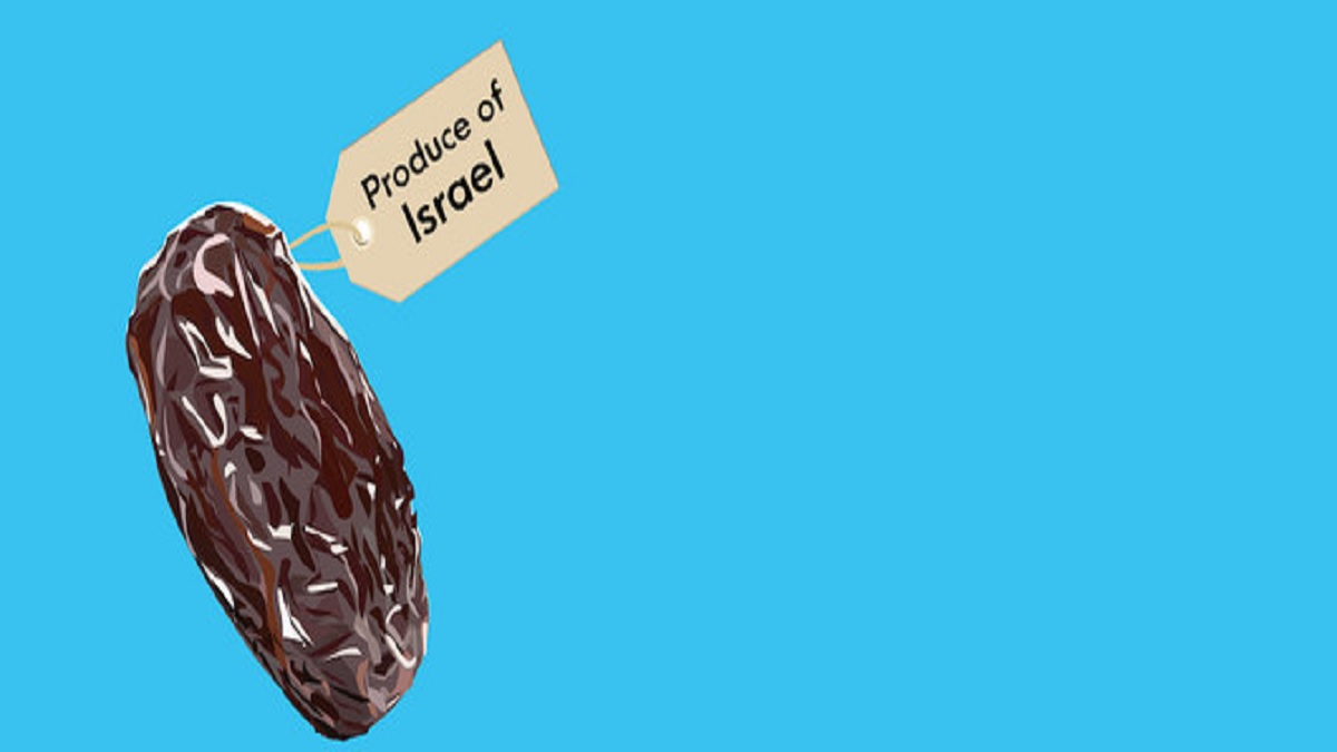 রমজানে ইসরায়েলি খেজুর বয়কটের আহ্বান ইউরোপীয় মুসলিম সংগঠনের