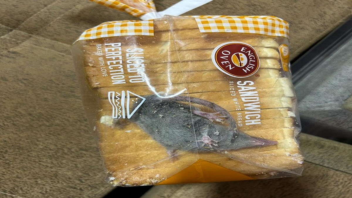 অনলাইনে পাউরুটি অর্ডার করে মিললো জীবন্ত ইঁদুর