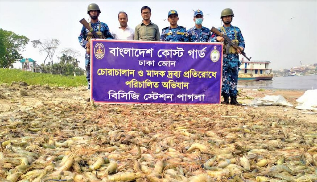 কোস্ট গার্ডের অভিযানে ৩ হাজার ৭০০ কেজি বিষাক্ত জেলি পুশকৃত চিংড়ি জব্দ