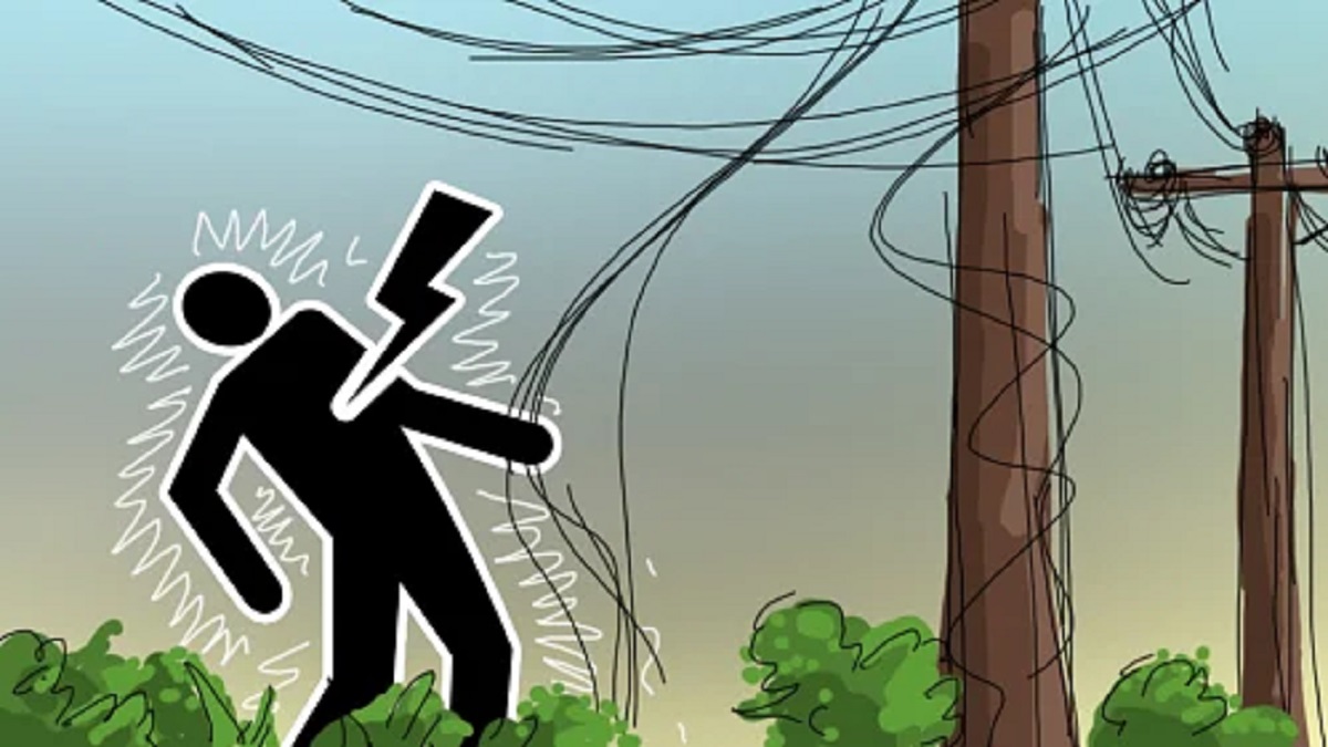 ভোলায় পুকুরে মাছ শিকার করতে গিয়ে বিদ্যুৎস্পৃষ্টে যুবক নিহত