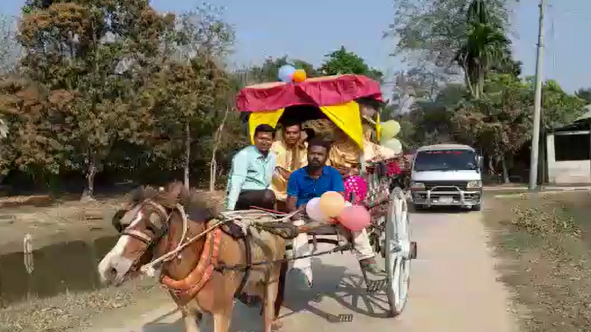 মৃত স্বামীর স্বপ্ন পূরণে ঘোড়ার গাড়িতে ঘরে আনলেন পুত্রবধূ