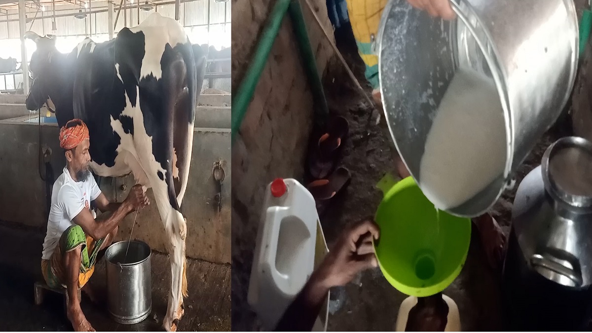 রমজান উপলক্ষ্যে কিশোরগঞ্জে ১ লিটার দুধ পাওয়া যাবে ১০ টাকায় (ভিডিও)