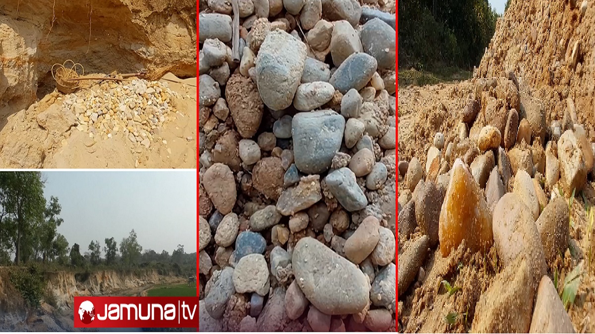 শেরপুরে নির্বিচারে ধ্বংস হচ্ছে শালবন ও পাহাড়; বন বিভাগের সম্পৃক্ততা ও মিথ্যা মামলার অভিযোগ