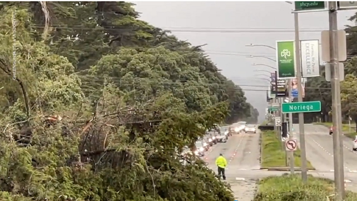 মৌসুমী ঘূর্ণিঝড়ে বিপর্যন্ত যুক্তরাষ্ট্রের মধ্যাঞ্চল, নিহত ২