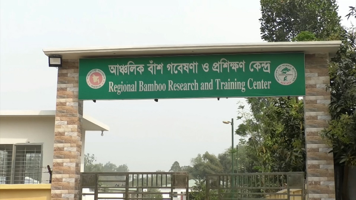জনবল ও অর্থের অভাবে মুখ থুবড়ে পড়েছে নীলফামারীর বাঁশ গবেষণা ও প্রশিক্ষণ কেন্দ্র