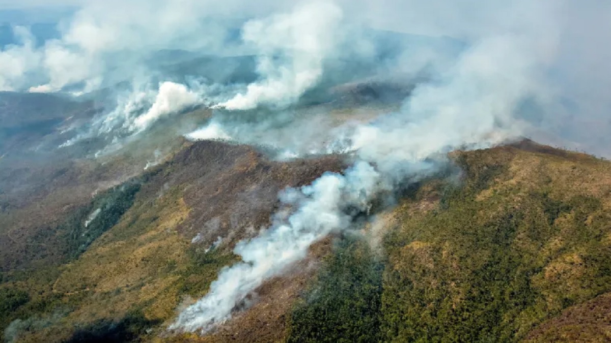 এখনও নিয়ন্ত্রণে আসেনি কিউবার দাবানল, প্রতিনিয়তই পুড়ছে বনভূমি-ফসলী জমি