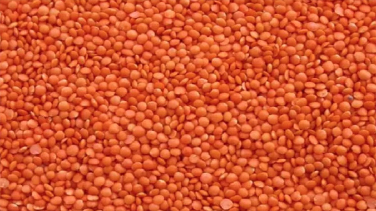 টিসিবির মাধ্যমে বিক্রির জন্য ৮ হাজার টন মসুর ডাল কিনবে সরকার