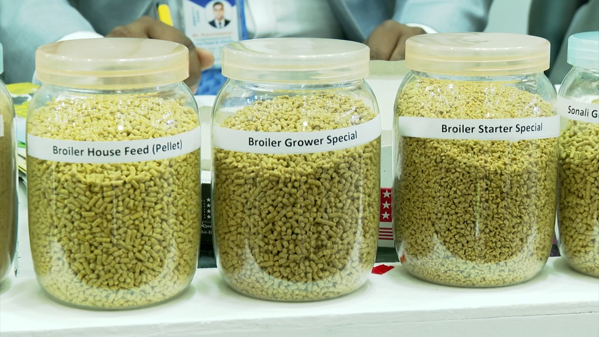 কাঁচামালের মূল্যের প্রভাবে বেড়েছে ফিডের দাম