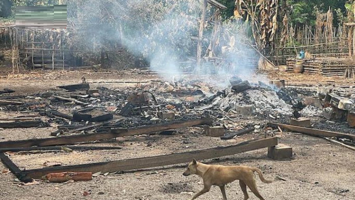 অভ্যুত্থানের পর ৩২টি গণহত্যা চালিয়েছে জান্তা বাহিনী: এনইউজি