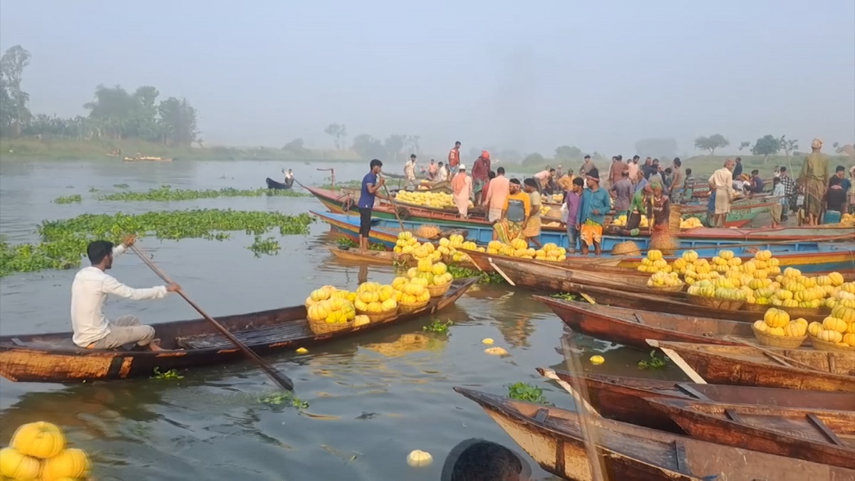 নবাবগঞ্জে বাঙ্গি চাষে লাভবান কৃষকরা, তবে সড়কের বেহাল দশায় বিড়ম্বনা